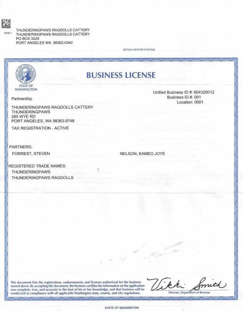 Business License